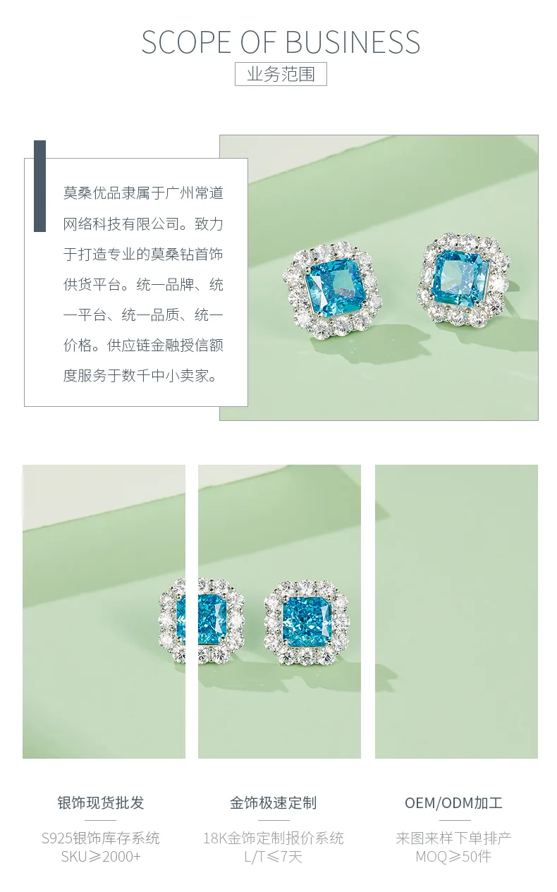 ES03157A1 S925 White-Gold-Plated Silver High-Carbon Diamond Earrings Ice-Cut Blu