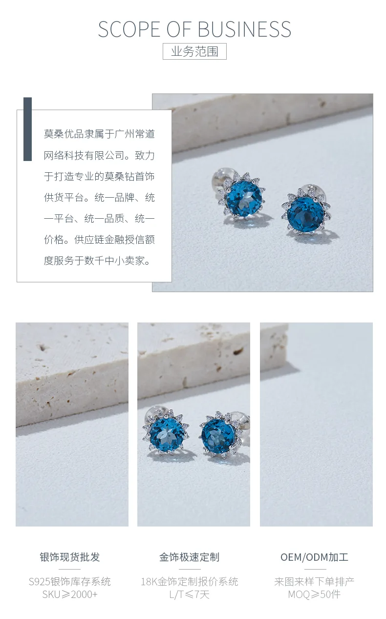 304192/E43484K-2 S925 Silver 18K White Gold Natural Blue Stud Earrings Center St