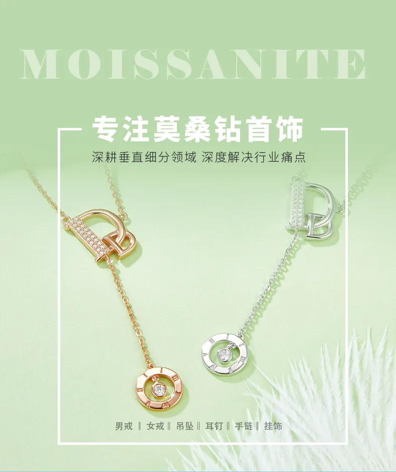 D Letter S925 Silver Moissanite Necklace D VVS detail 1