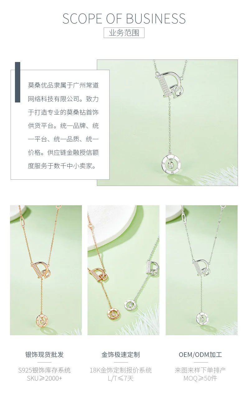 D Letter S925 Silver Moissanite Necklace D VVS detail 3